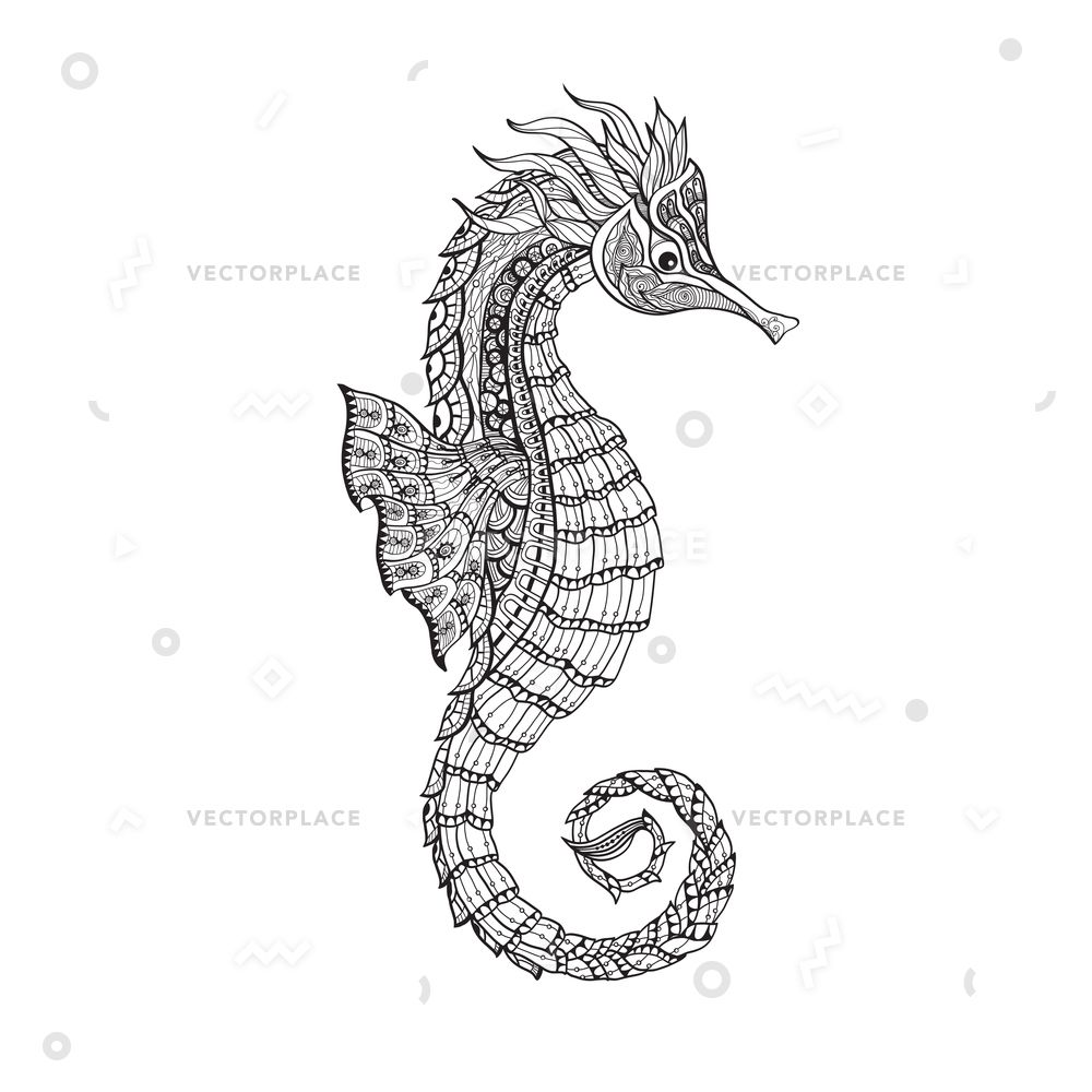 1000x1000 Sea Marine Aquarium Life Doodle Sketch Of Sea Horse Fish - Aquarium Sketch