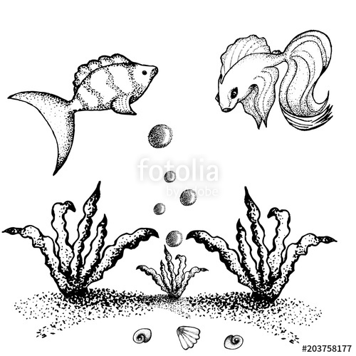 500x500 Sketch Fish Of Aquarium, Graphics, Graphics Stock Image And - Aquarium Sketch
