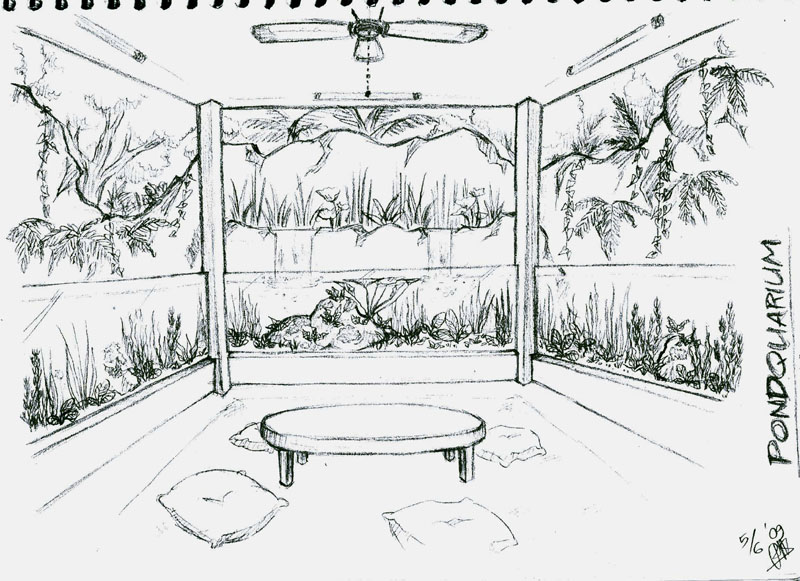 800x581 Aquarium Planning - Aquarium Sketch