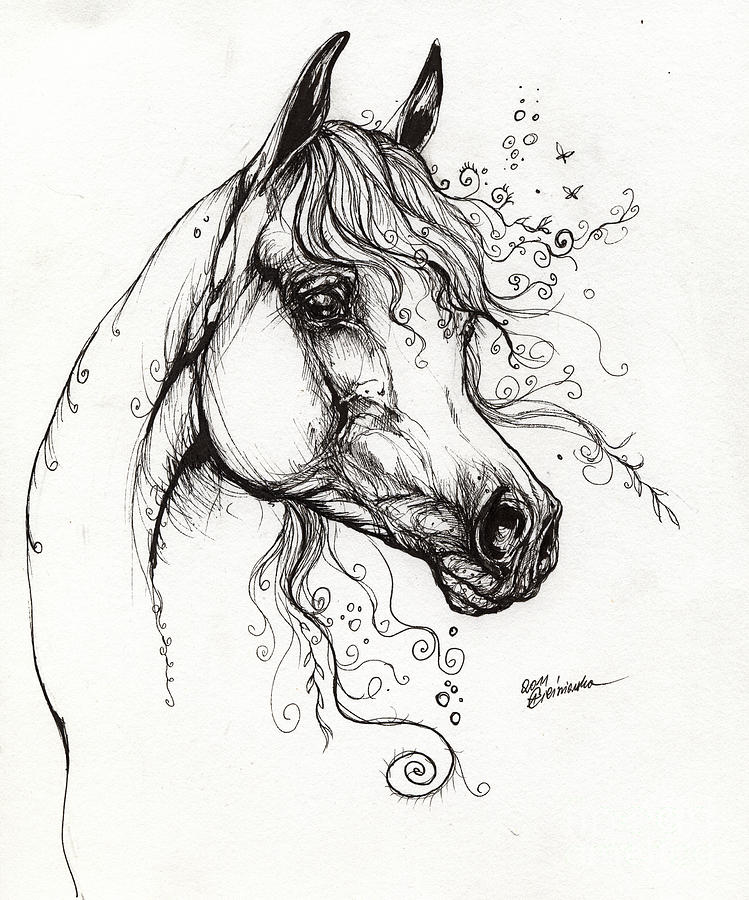 749x900 Arabian Horse Drawing 9 Drawing By Angel Ciesniarska - Arabian Horse Sketch