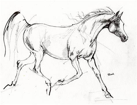 474x366 Arabian Horse Running Drawings. Running Arabian Horse Drawing 1 - Arabian Horse Sketch