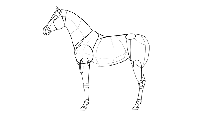 700x391 How To Draw Horses Step By Step Instructions - Arabian Horse Sketch
