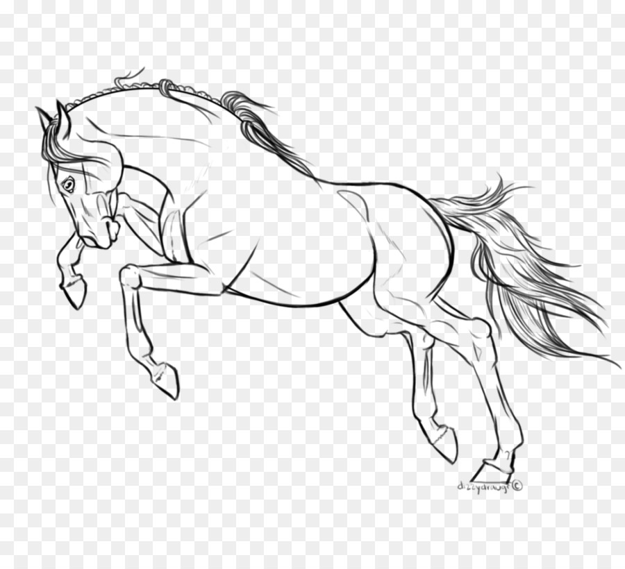 900x820 Line Art Arabian Horse Drawing Pony Stallion - Arabian Horse Sketch
