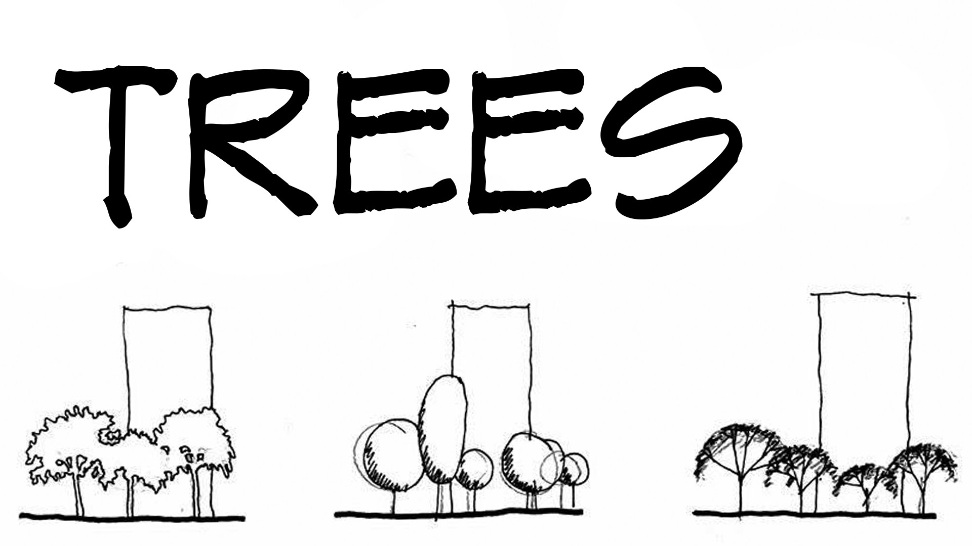 1920x1080 Trees For Architecture Sketches - Architecture People Sketch