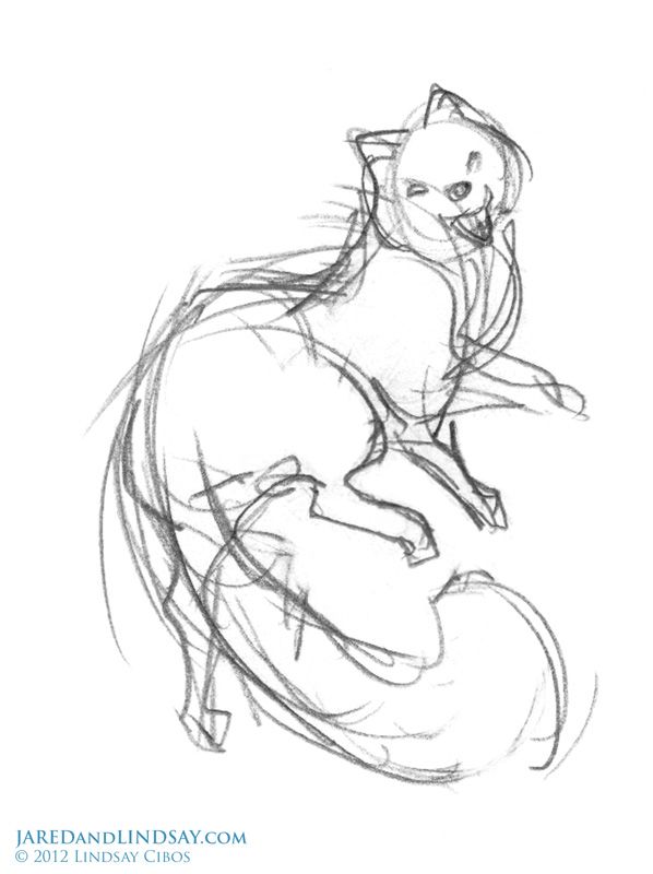 598x800 How To Draw An Arctic Fox The Last Of The Polar Bears Awesome - Arctic Fox Sketch