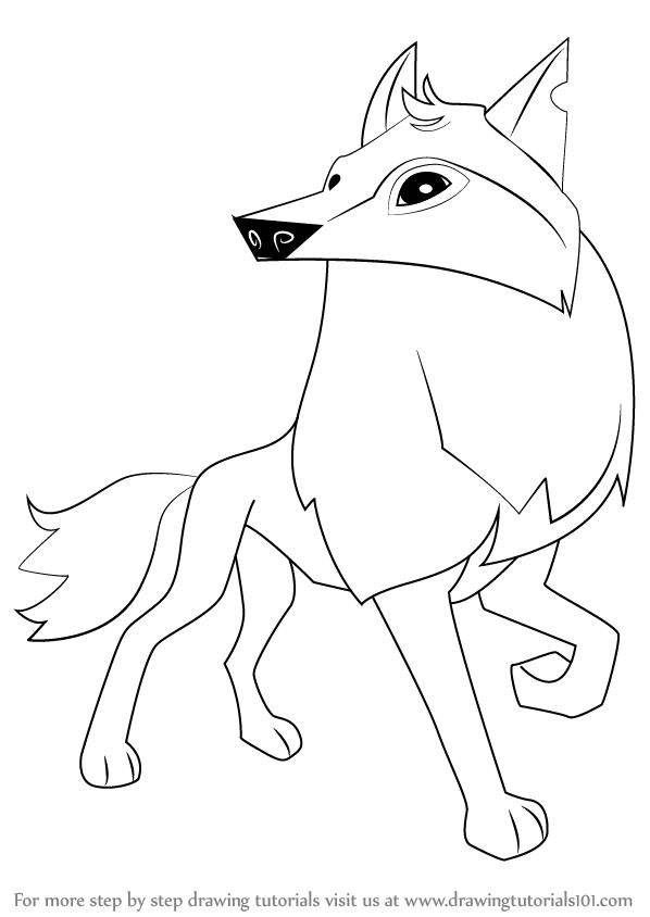598x844 Learn How To Draw Arctic Wolf From Animal Jam (Animal Jam) Step By - Arctic Wolf Sketch