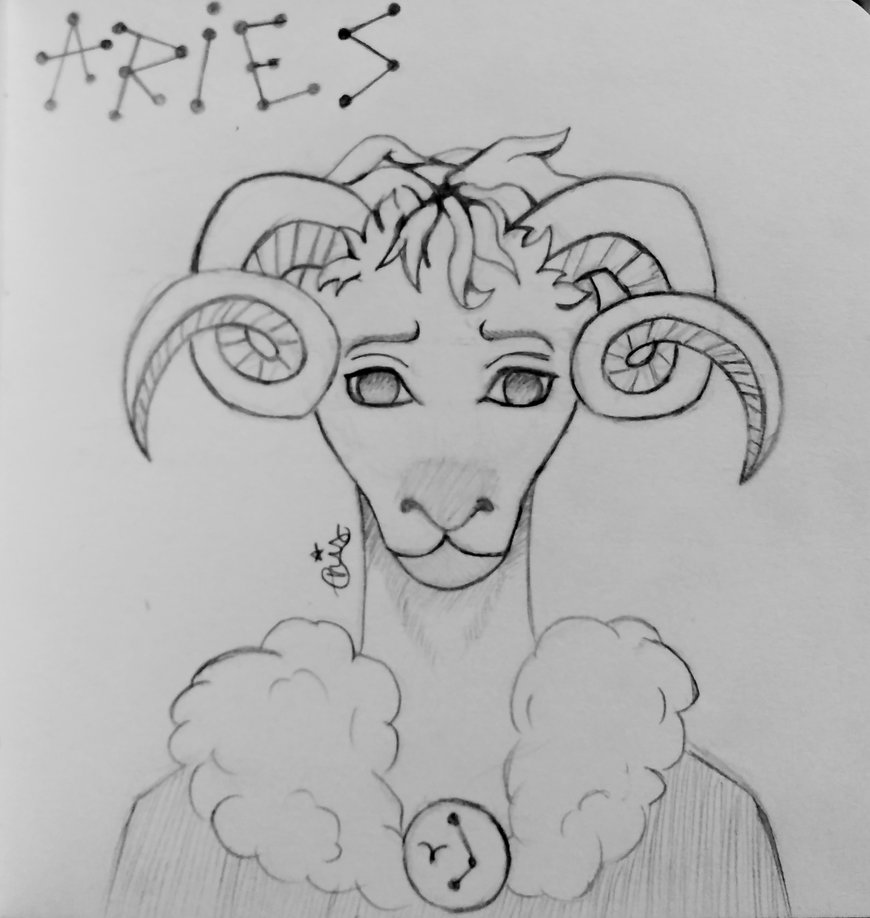 870x918 Aries Sketch By Kokishintamashi - Aries Sketch