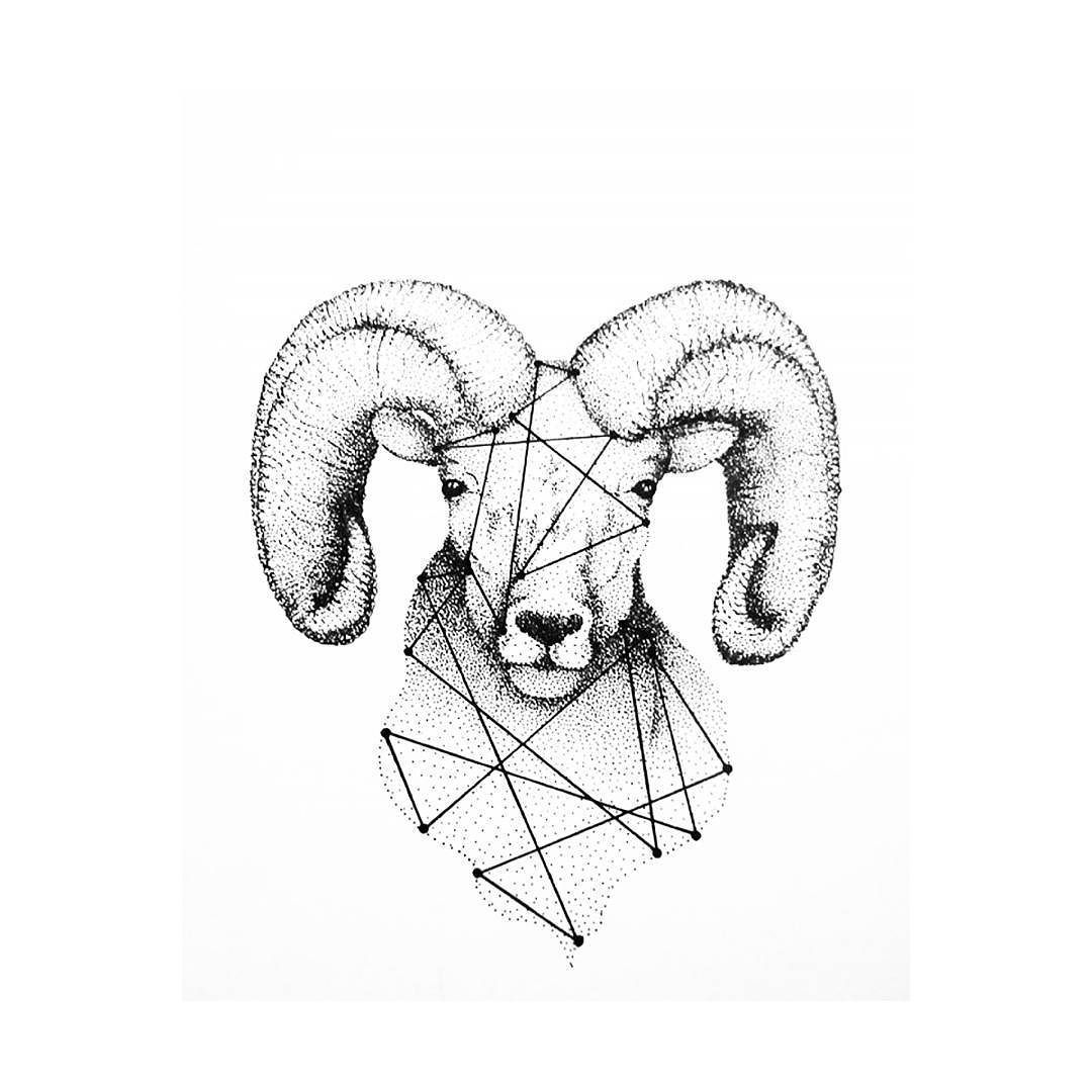 1080x1080 Aries Sketch By @beatrixarts - Aries Sketch