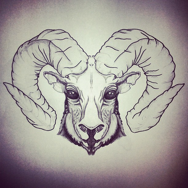 612x612 Attractive Aries Head Tattoo Sketch - Aries Sketch