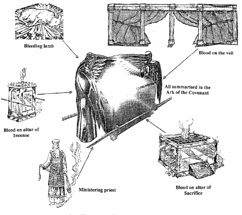 481x426 The Ark Of The Covenant - Ark Of The Covenant Sketch