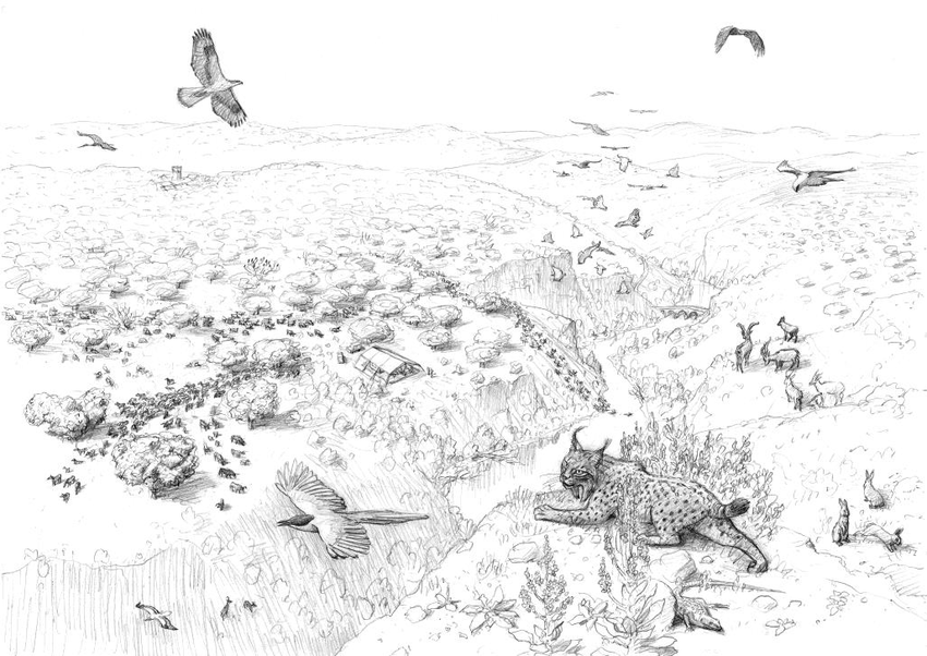 850x602 Sketch Of Western Iberia, By Jeroen Helmer, Ark Nature Download - Ark Sketch