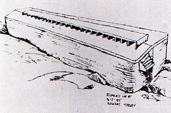 657x433 Ark Drawing.jpg - Ark Sketch