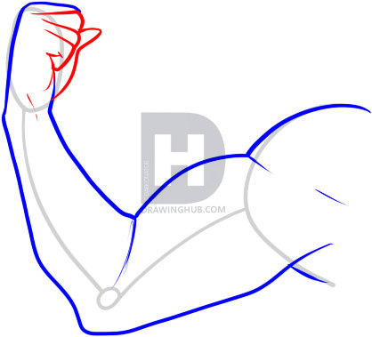 418x379 How To Draw A Muscle, Step By Step, Drawing Guide, By Darkonator - Arm Muscle Sketch