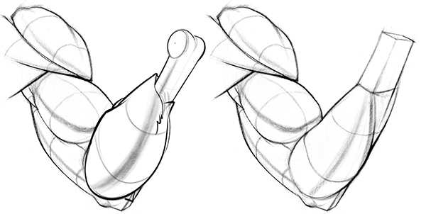 600x302 How To Draw Forearms Arm Anatomy For Artists Proko - Arm Muscle Sketch