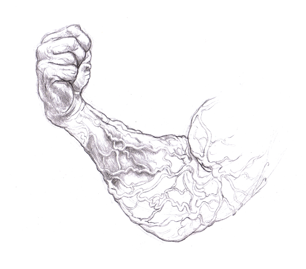 1000x878 Magellin . Blog Arm Veins Sketch - Arm Muscle Sketch