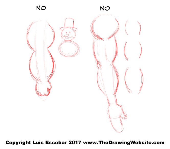 665x583 Cartoon Arm Formula The Drawing Website - Arm Muscle Sketch