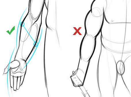 455x338 How To Draw Forearms Arm Anatomy For Artists Proko - Arm Sketch