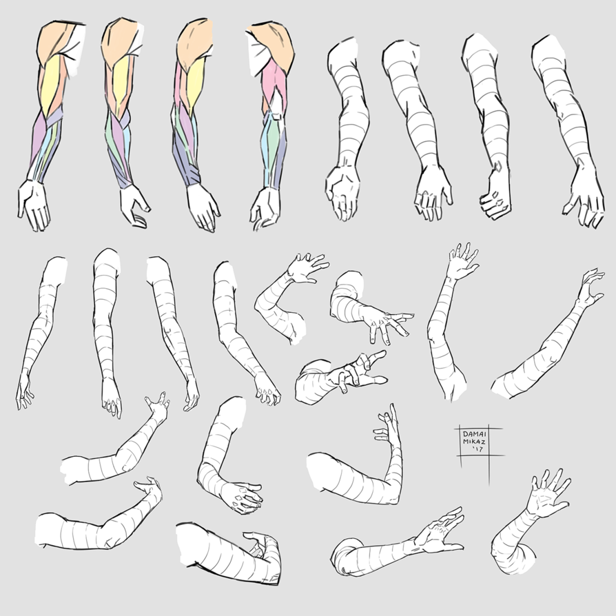 human arm sketch