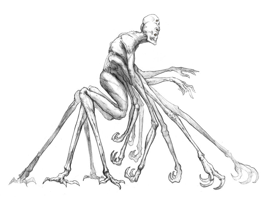 900x661 Ten Arm Sketch By Nickdespain - Arm Sketch