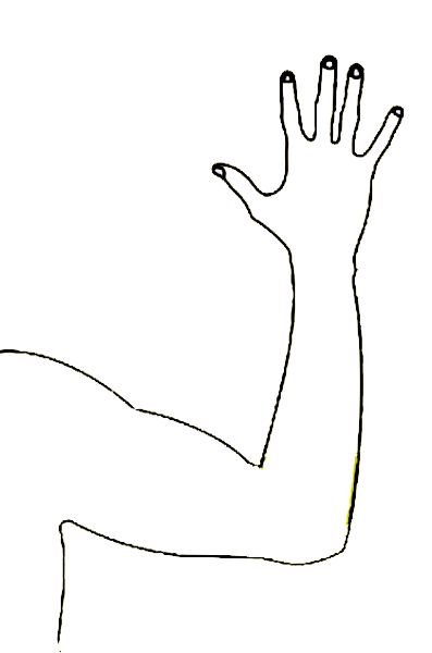 397x600 Test Arm Page - Arm Sketch