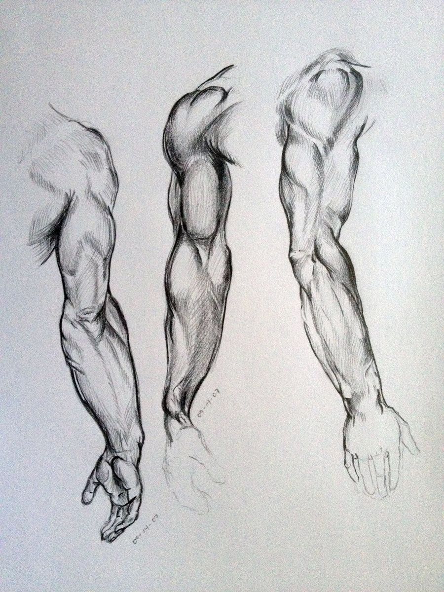 900x1200 Arm Sketches By On @ - Arm Sketch