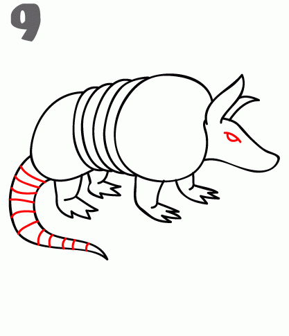 417x485 How To Draw An Armadillo - Armadillo Sketch
