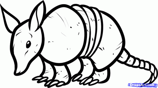 520x292 One Of The Few Cute Armadillos I Have Seen Tottoos - Armadillo Sketch