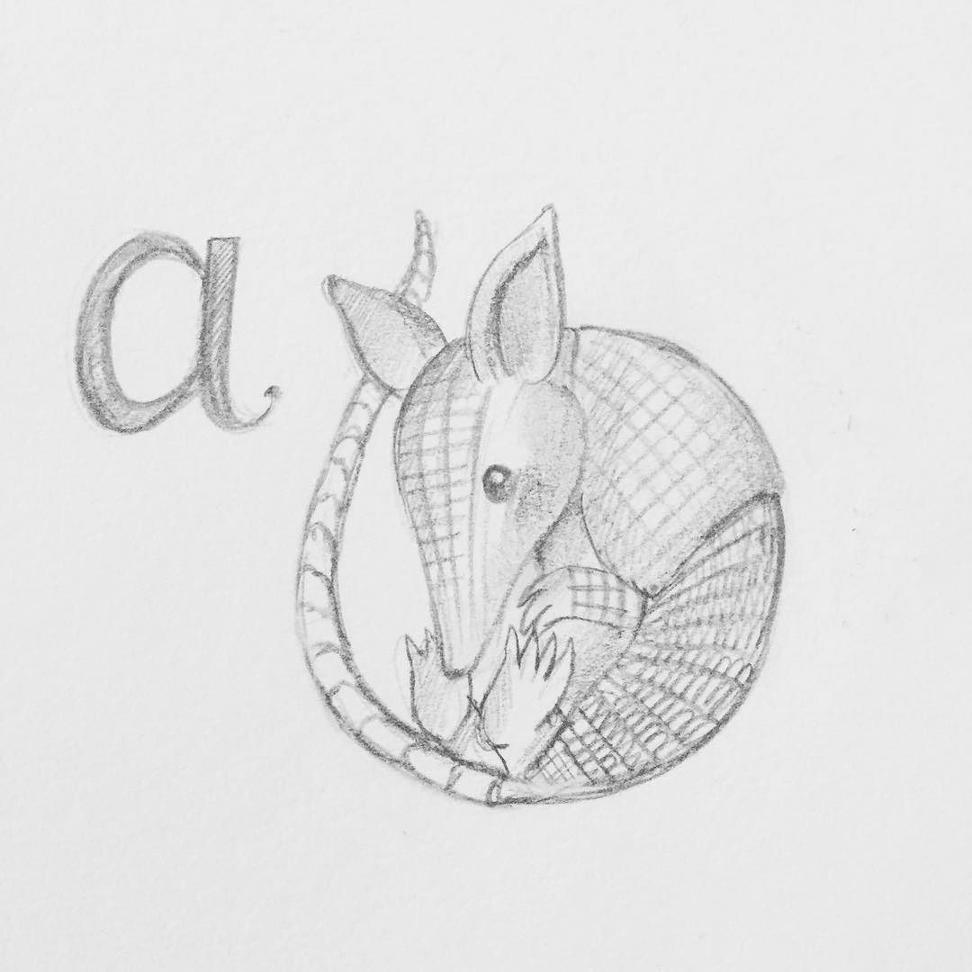 1080x1080 Pin By Diego Lizarazo On Images Of Interest. - Armadillo Sketch