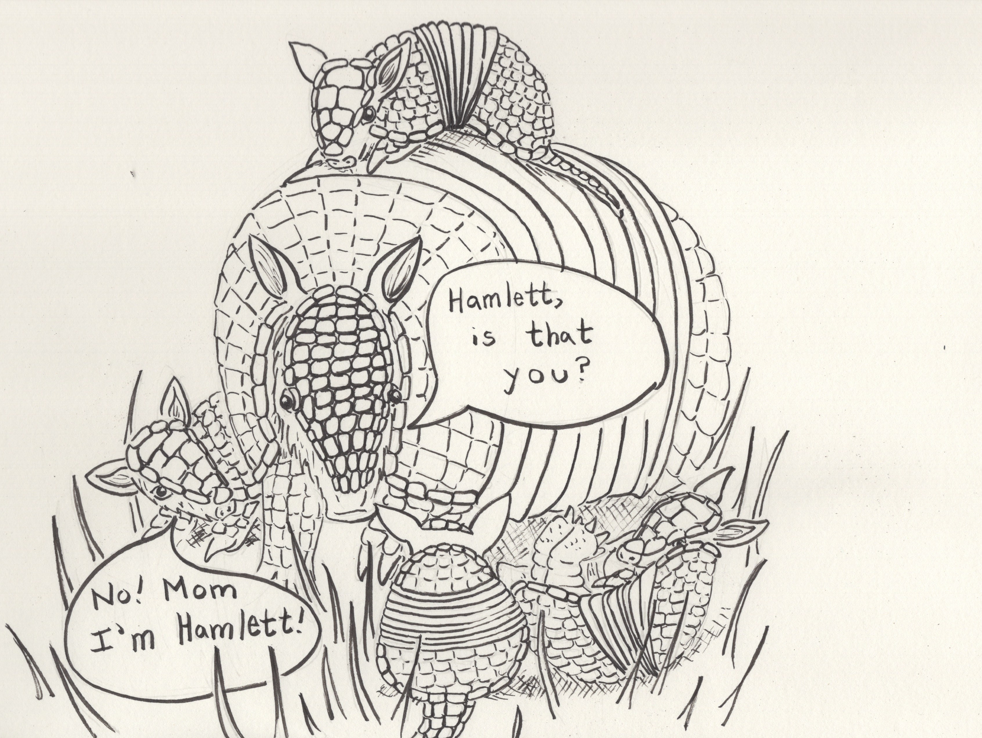 3373x2534 Sunday Sketch Armadillo Quadruplets - Armadillo Sketch