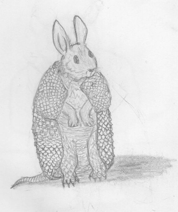 570x679 Whimsical Rabbit And Armadillo Bunadillo Black And White Etsy - Armadillo Sketch