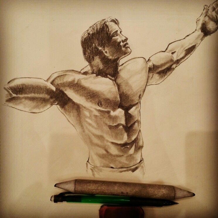 744x744 Arnold Schwarzenegger Sketch Sketches Concepts - Arnold Schwarzenegger Sketch