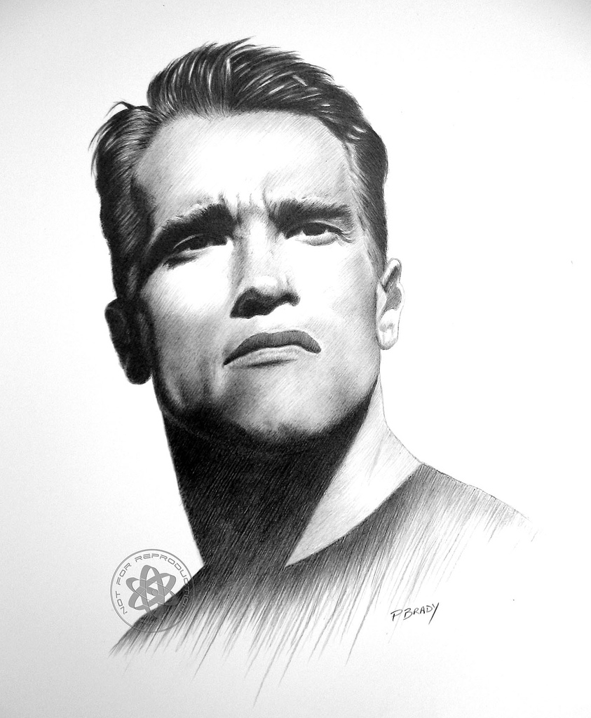 843x1024 Arnold Schwarzenegger Pencil Drawing Paul Brady - Arnold Sketch