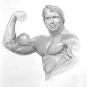 300x300 Arnold Schwarzenegger Drawing By Chris Vanellis - Arnold Sketch