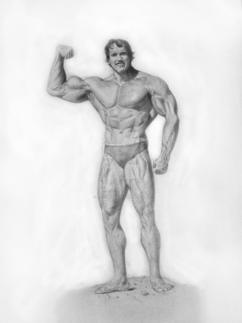 774x1032 Arnold Sketch By Martinrexbg - Arnold Sketch