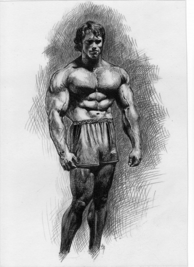 399x550 Portrait Of Arnold Schwarzenegger By Kc On Stars Portraits - Arnold Sketch