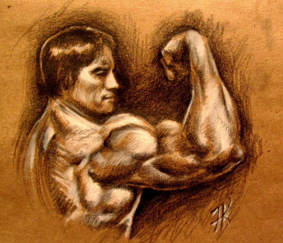 963x829 Sketch Of Arnold By Taylorweaved - Arnold Sketch