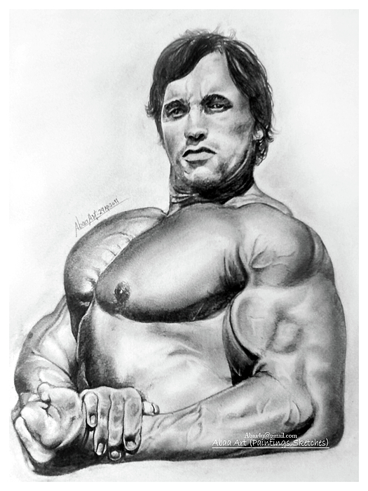 525x700 Arnold Portrait Drawing By Abaa Shewale - Arnold Sketch
