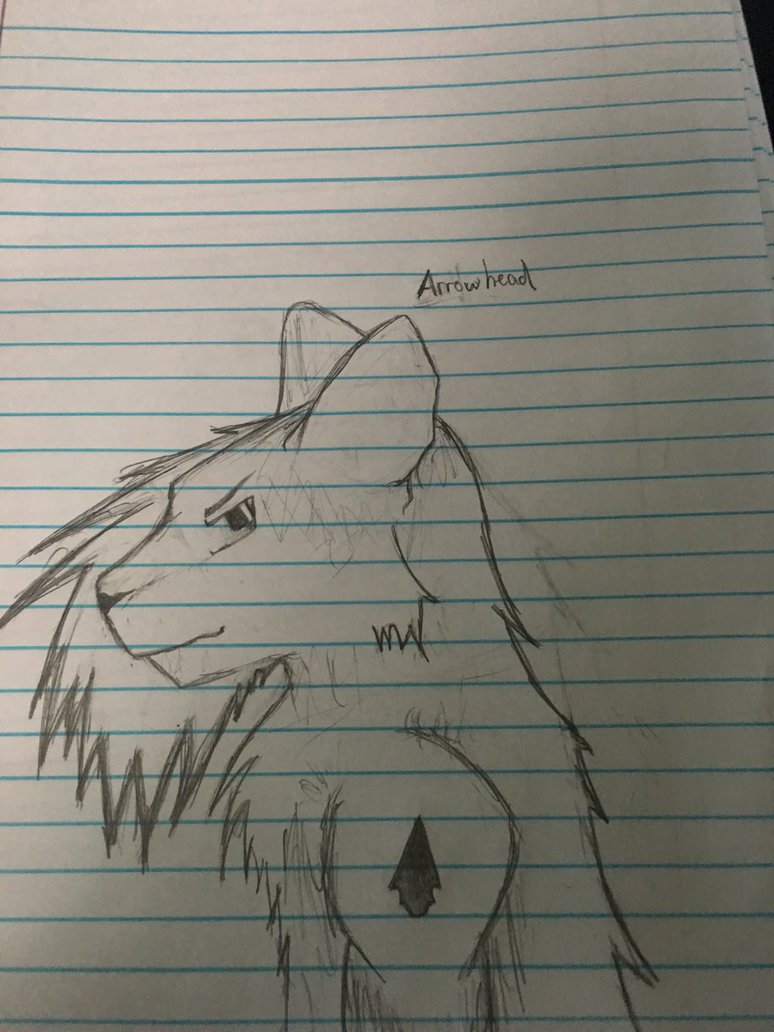774x1032 Arrowhead Sketch By Raccooneye - Arrowhead Sketch