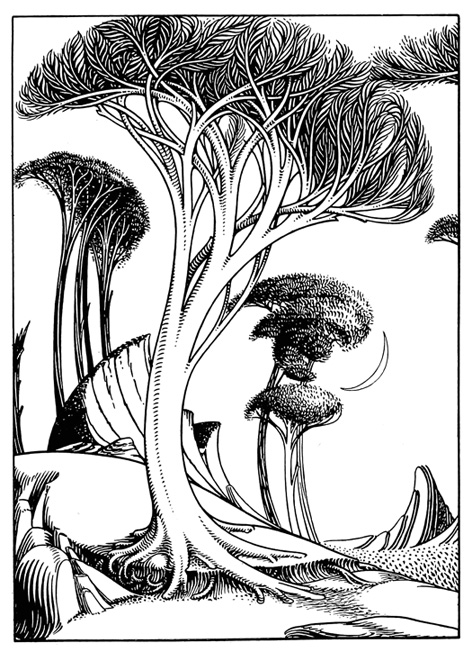 472x652 Art Nouveau Picture Gallery - Art Nouveau Sketches