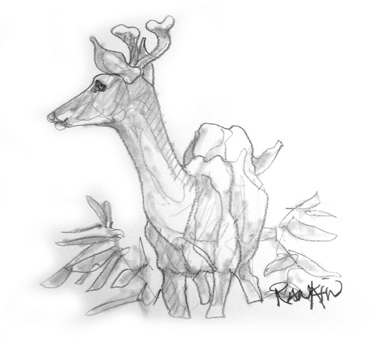 372x338 Sketching - Art Of Sketch