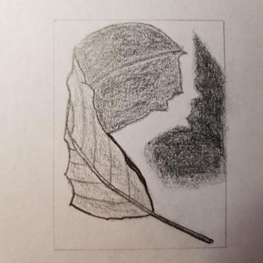 373x373 Drawing Ideas Craftsy - Art Sketch Ideas