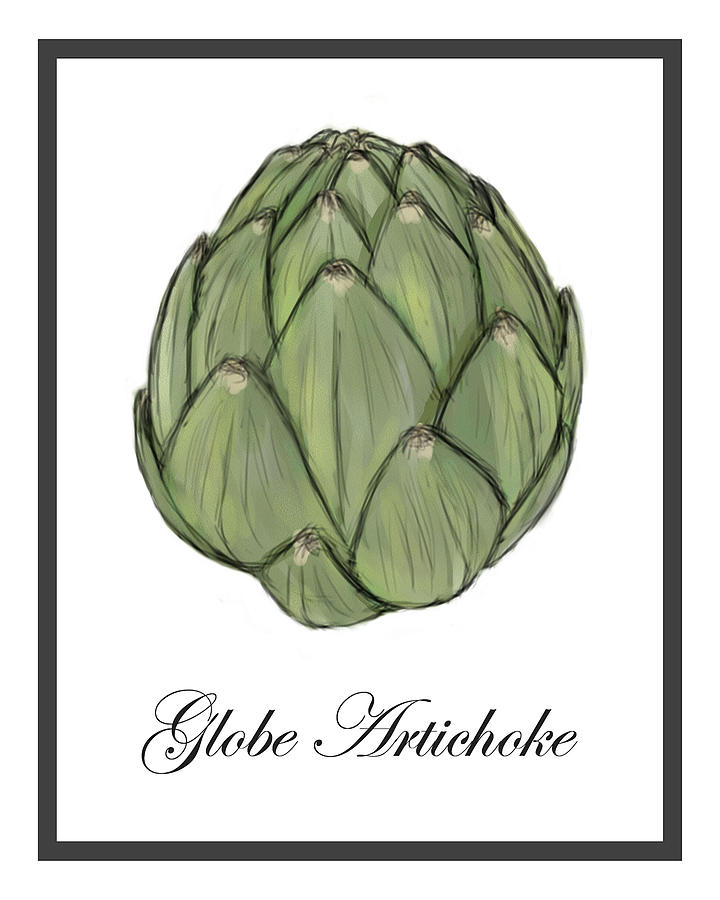 720x900 Globe Artichoke Watercolor Sketch Digital Art By Sarah Countiss - Artichoke Sketch