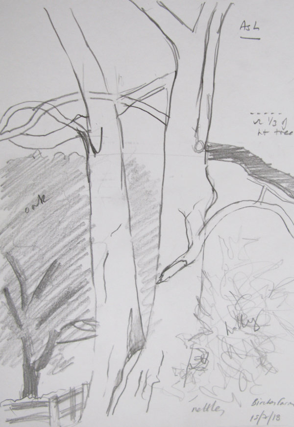 600x871 Ash - Ash Sketch