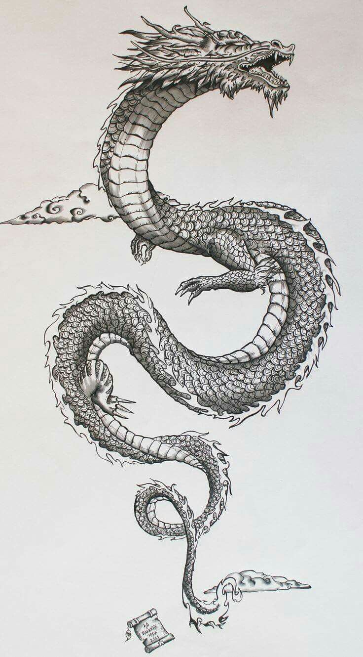 736x1329 Chinese Dragon My Next Tattoo Japanese Dragon - Asian Dragon Sketch