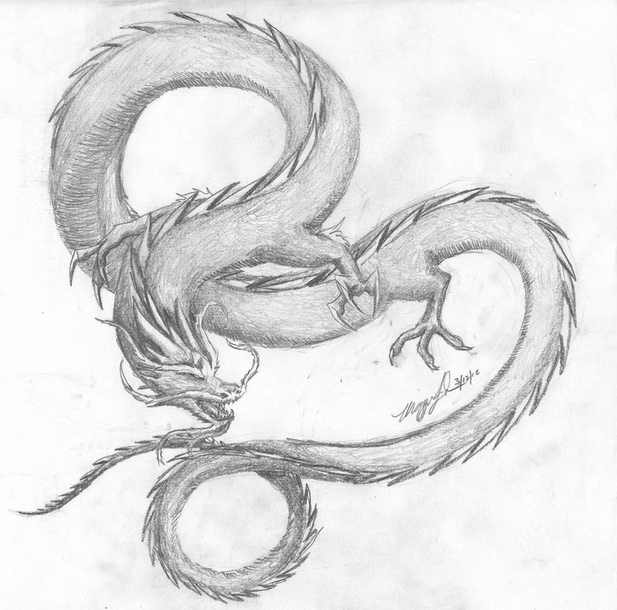 899x889 Chinese Dragon By Wulfheart101 - Asian Dragon Sketch