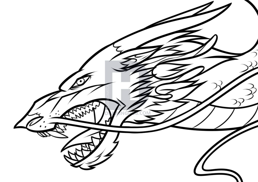 1021x720 Drawing A Chinese Dragon Head, Step By Step, Drawing Guide, By - Asian Dragon Sketch