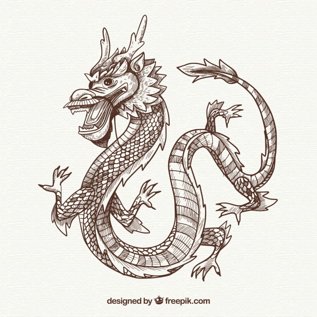 626x626 Hand Drawn Traditional Chinese Dragon Vector Free Download - Asian Dragon Sketch