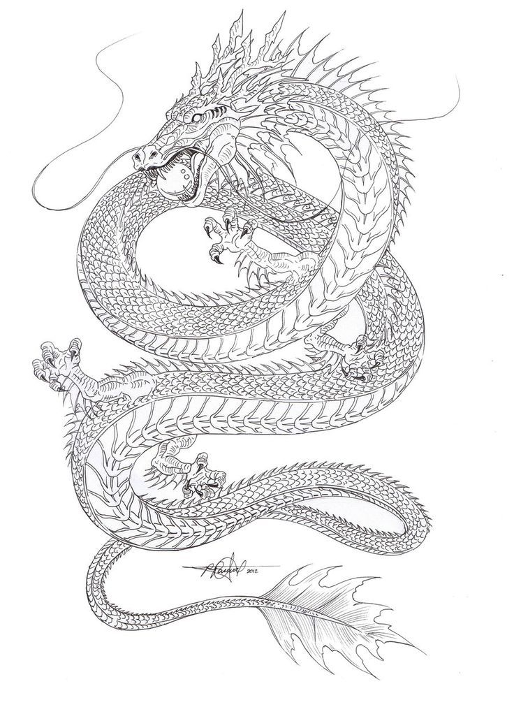 736x1012 Pin By Marina Avila On Piercings Tattoos Tattoos - Asian Dragon Sketch