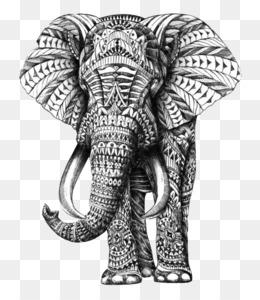 260x300 The Elephants Paper Asian Elephant Graphite - Asian Elephant Sketch