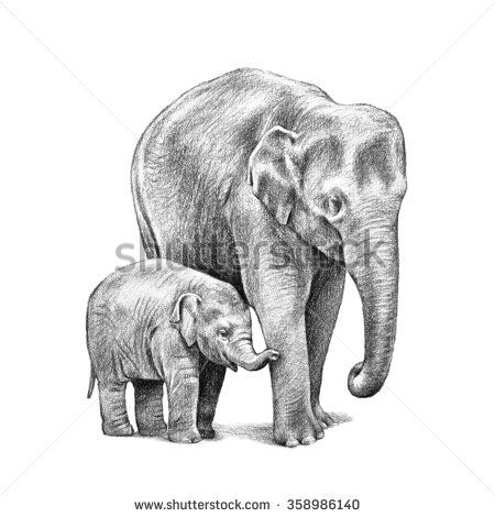 450x470 Baby Elephant And Asian Elephant. Hand Drawn Elephants Sketch - Asian Elephant Sketch
